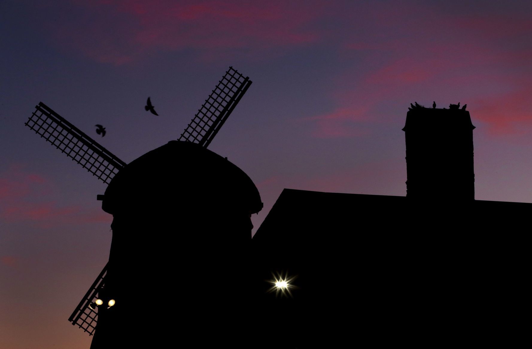 Pigeons come home to roost